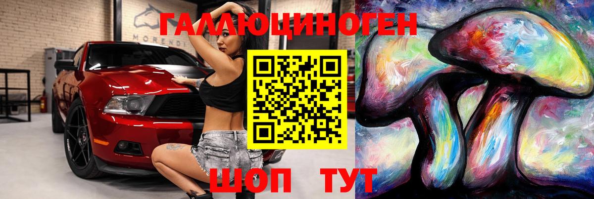 Псилоцибиновые грибы Psilocybe  Псилоцибиновые грибы MAGIC MUSHROOMS  Искитим  Вход с VPN 